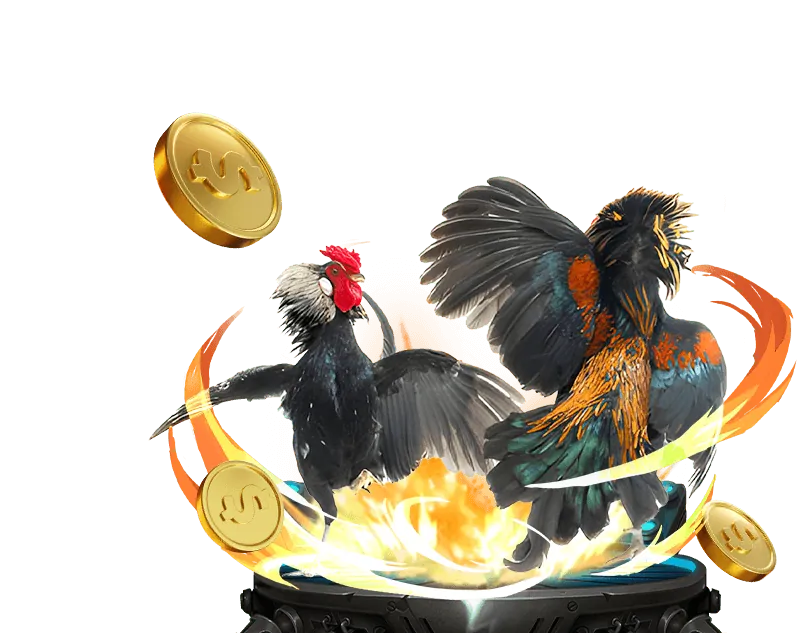 Tổng quan nền tảng sòng bạc cwin 333